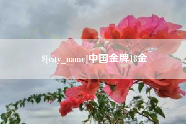 辽源中国金牌18金