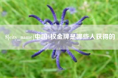 辽源中国6枚金牌是哪些人获得的