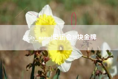 辽源奥运会39块金牌