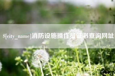 辽源消防设施操作员证书查询网址