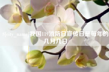 辽源我国119消防日宣传日是每年的几月几日