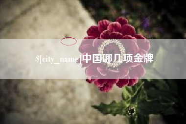 辽源中国哪几项金牌