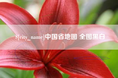 辽源中国省地图 全图黑白