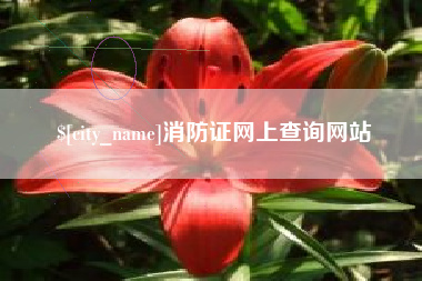 辽源消防证网上查询网站