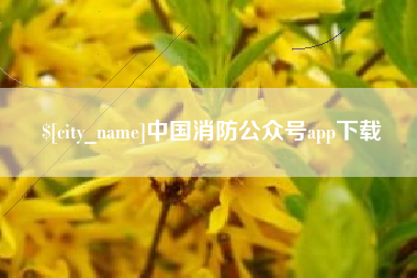 辽源中国消防公众号app下载