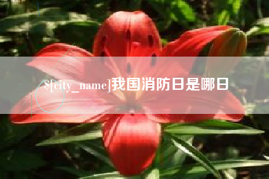 辽源我国消防日是哪日