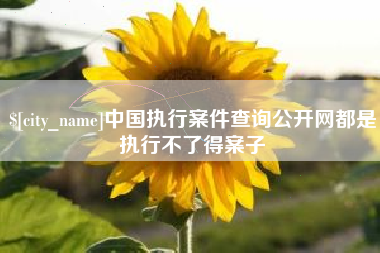辽源中国执行案件查询公开网都是执行不了得案子