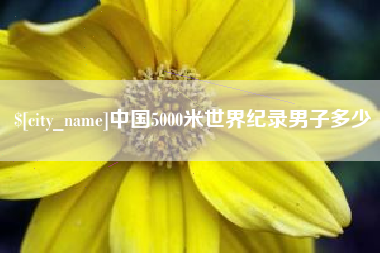 辽源中国5000米世界纪录男子多少