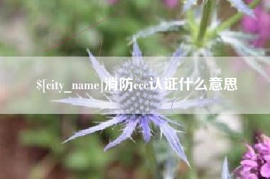 辽源消防ccc认证什么意思