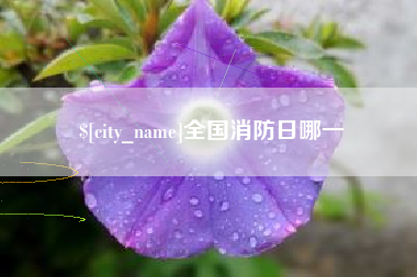 辽源全国消防日哪一