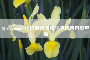辽源中国消防救援学院官网首页查询