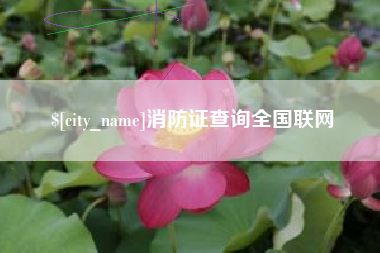 辽源消防证查询全国联网