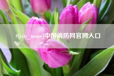 辽源中国消防网官网入口