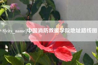辽源中国消防救援学院地址路线图