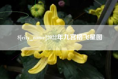 辽源2022年九宫格飞星图
