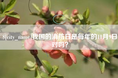 辽源我国的消防日是每年的11月9日对吗？