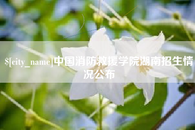 辽源中国消防救援学院湖南招生情况公布