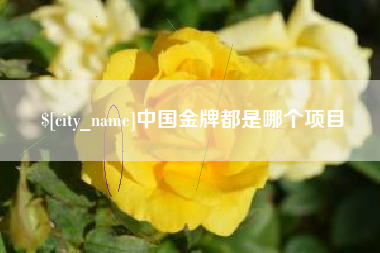 辽源中国金牌都是哪个项目