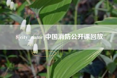 辽源中国消防公开课回放