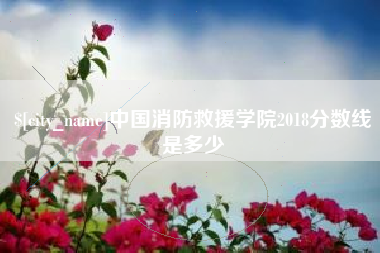 辽源中国消防救援学院2018分数线是多少