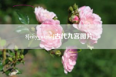 辽源古代九宫图片