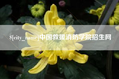 辽源中国救援消防学院招生网