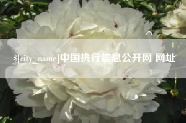 辽源中国执行信息公开网 网址