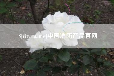 辽源中国消防产品官网
