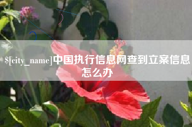 辽源中国执行信息网查到立案信息怎么办