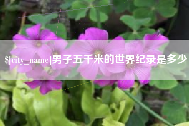 辽源男子五千米的世界纪录是多少