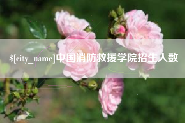 辽源中国消防救援学院招生人数