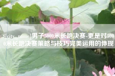 辽源男子5000米长跑决赛-更是对5000米长跑决赛策略与技巧完美运用的体现