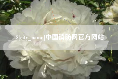 辽源中国消防网官方网站