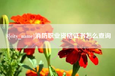 辽源消防职业资格证书怎么查询