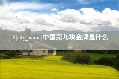 辽源中国第九块金牌是什么