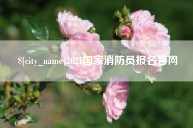辽源2021国家消防员报名官网