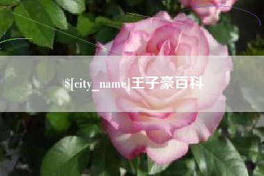 辽源王子豪百科