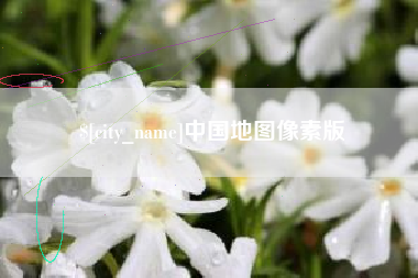 辽源中国地图像素版