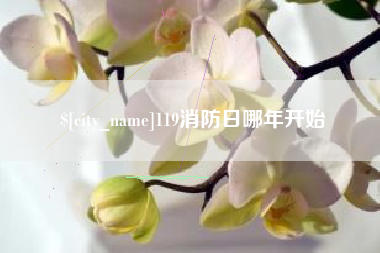 辽源119消防日哪年开始
