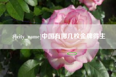 辽源中国有哪几枚金牌得主