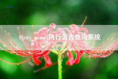 辽源执行公告查询系统