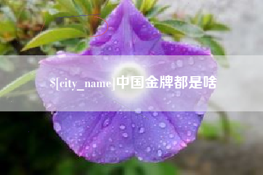 辽源中国金牌都是啥