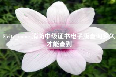 辽源消防中级证书电子版查询多久才能查到