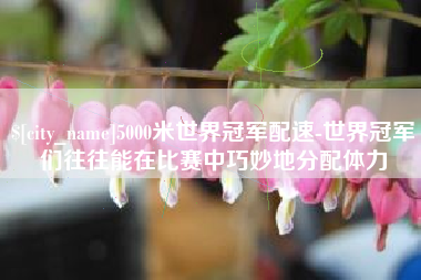 辽源5000米世界冠军配速-世界冠军们往往能在比赛中巧妙地分配体力