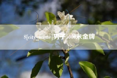 辽源男子5000米金牌