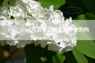辽源九宫星位是定位不变的吗