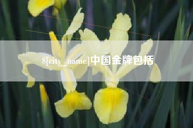 辽源中国金牌包括