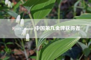 辽源中国第九金牌获得者