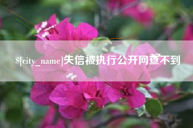 辽源失信被执行公开网查不到