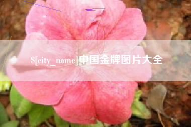 辽源中国金牌图片大全